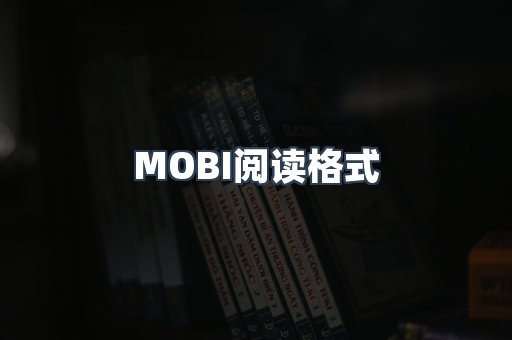 MOBI阅读格式